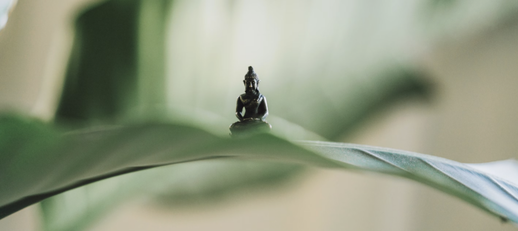 screenshot 2026 01 06 at 16.34.11