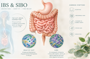 IBS and SIBO gut connection